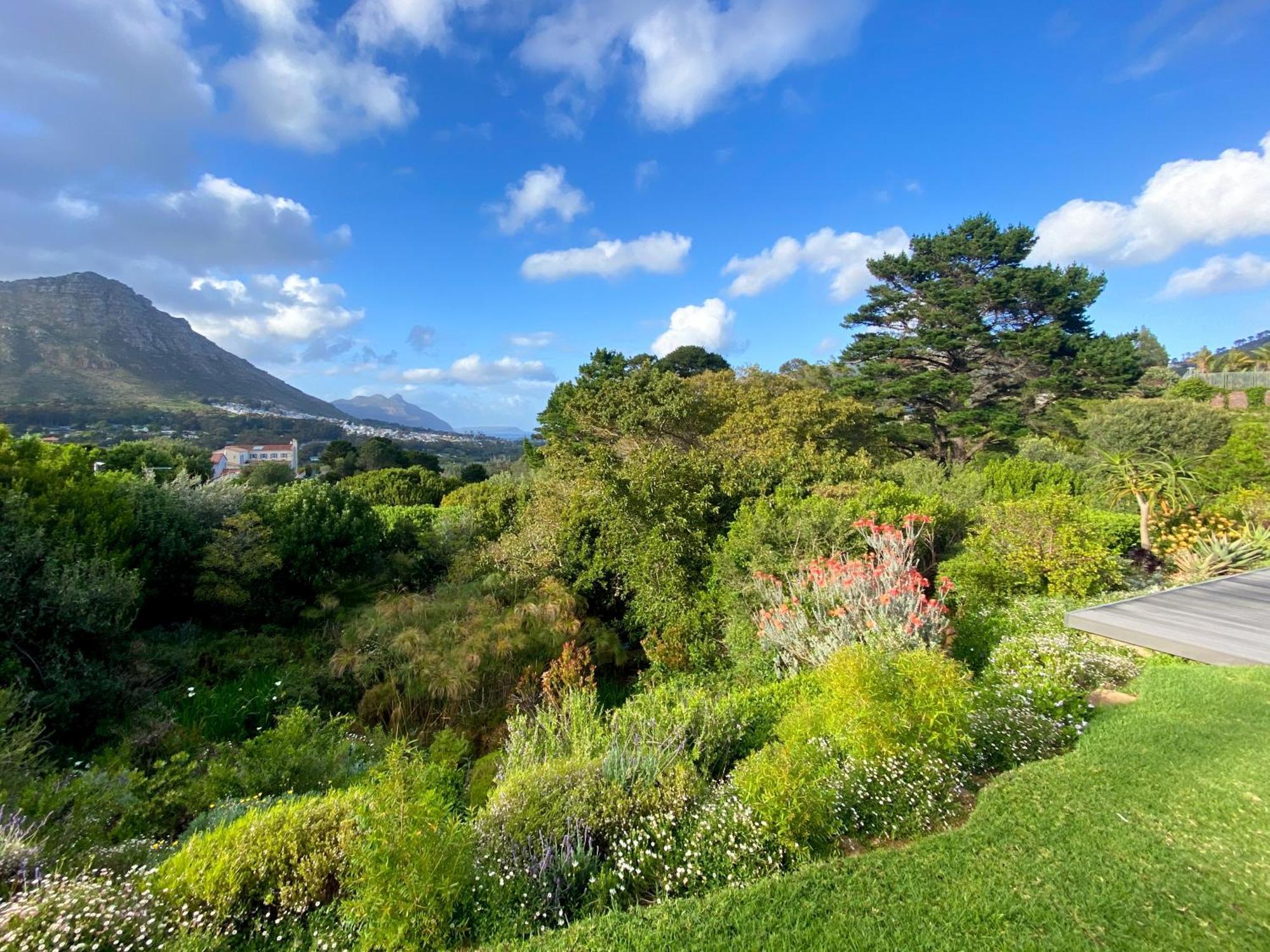 Luxe Family Home With Solar Power In Secure Hout Bay Estate Κέιπ Τάουν Εξωτερικό φωτογραφία